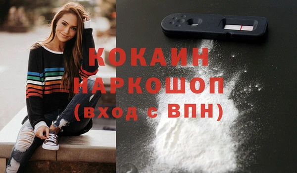твердый Алексин