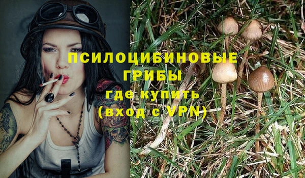 твердый Алексин