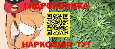 a pvp Пыть-Ях
