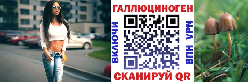 купить наркотик  Саки  Галлюциногенные грибы Cubensis 
