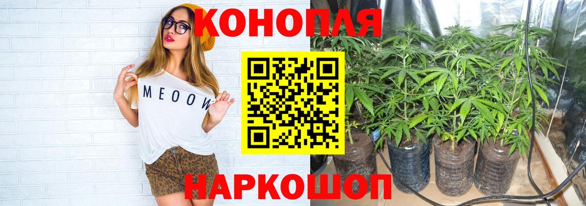 Шишки марихуана Amnesia  Канабис тримм  Вход с VPN  Саки  Бошки марихуана Ganja 